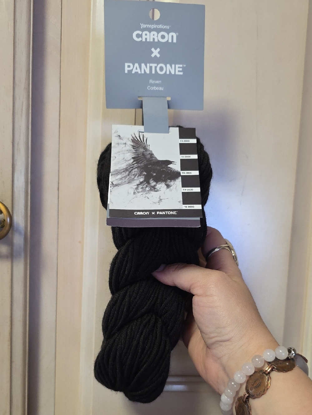 Caron x Pantone Raven Black Cotton Yarn - Premium Fiber Arts